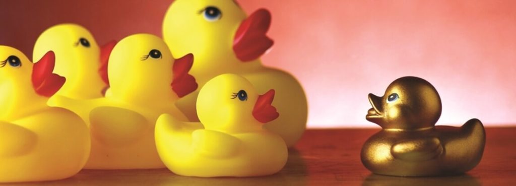 A group of yellow rubber ducks